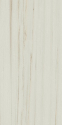 Empire Lasa Lapp 60x120 - фото 1
