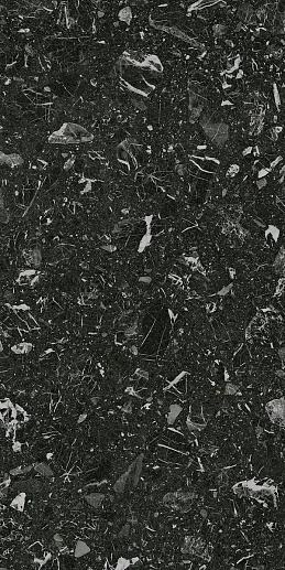 Luna-R Negro G.200 60x120 - фото 1