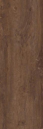 Forest Noce 100x300 - фото 1