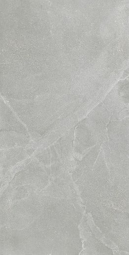 Eureka Grigio 60x120 - фото 1