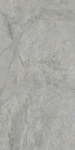 Arcticstone Серый Матовый 60x120 - фото 1