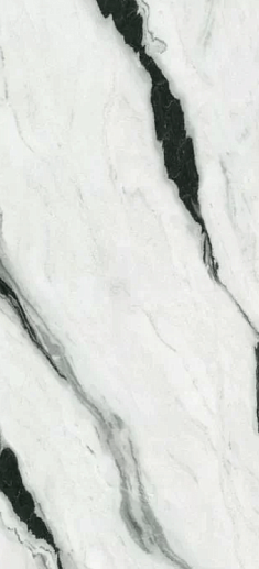 Panda White Polished 120x270 - фото 1