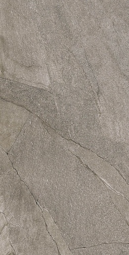 Halley Silver 60x120 - фото 1