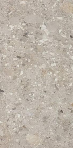 Ceppo Di Gres Sabbia 60x120 - фото 1
