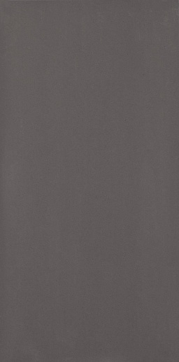 Doblo Grafit Mat. 29.8x59.8 - фото 1