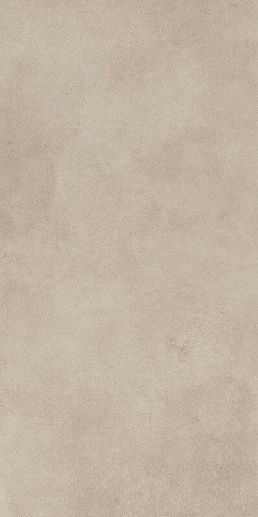 Magnetik Beige Gres Rekt. 59.8x119.8 - фото 1