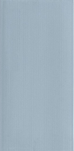 Satin Avio 31x62.2 - фото 1
