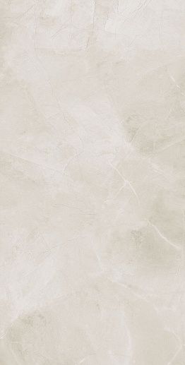 Harmonic White Pol 119.8x239.8 - фото 1