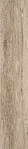 Blaze Natural Matt Rect 22.7x119.5 - фото 1