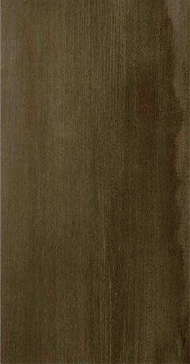 Evolve M.C.brown mt rect. 60x120 - фото 1