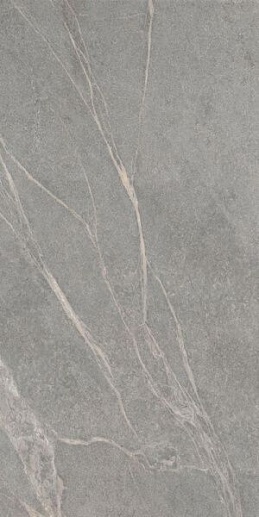 Soap Stone Grey Rett 60x120 - фото 1