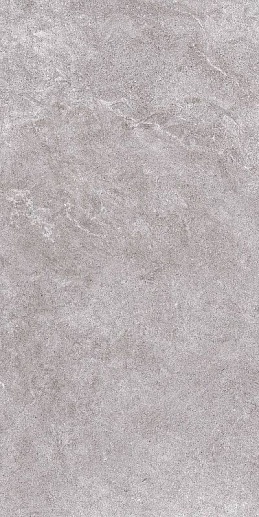 Arles Gris 60x120 - фото 1