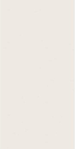 4D Plain White Matt Rett 40x80 - фото 1