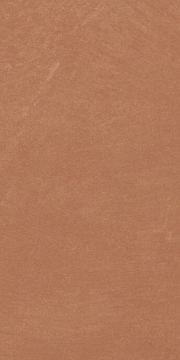 Argillae Coral 60x120 - фото 1