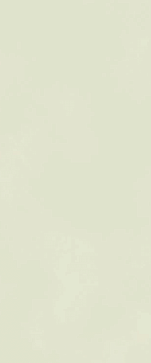 Boost Color Salix Matt 50x120 - фото 1