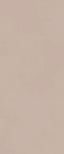 Boost Color Mauve Matt 50x120 - фото 1