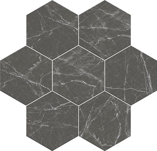 Cosmo Black 20x24 - фото 1