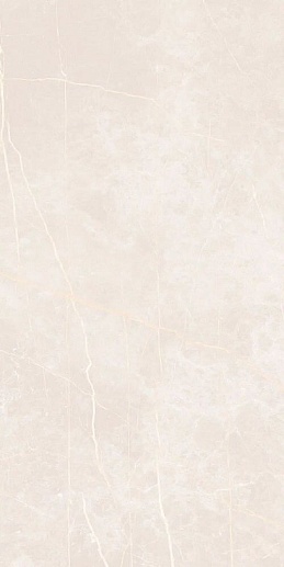 Stone Vision Light Beige 60x120 - фото 1