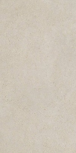 Pangea Greige Rec. 60x120 - фото 1