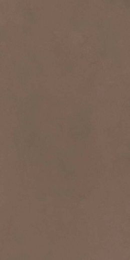 Nuances Marrone 60x120 - фото 1