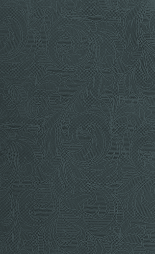 Фиора Black wall 02 25x40 - фото 1