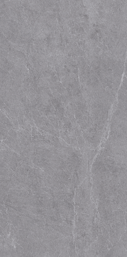 Silk 60x120 Alpine Gris Matt - фото 1
