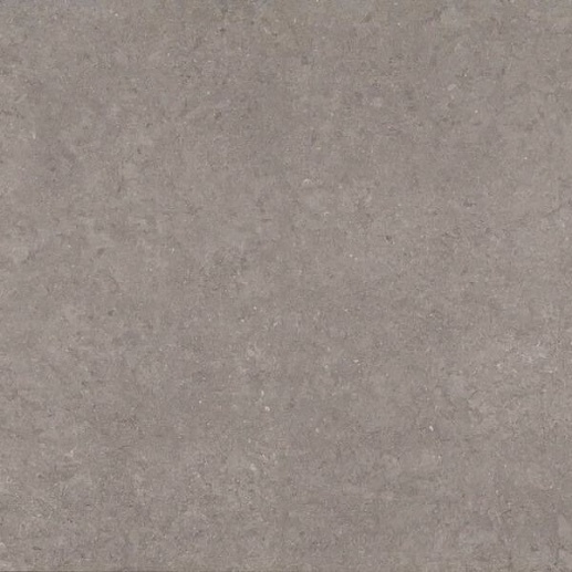 Atmospheres de Rex Ombre Adouci 120x120 - фото 1