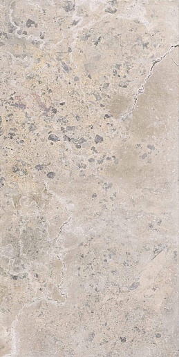Pietra Viva Ivory Nat Rett. 60x120 - фото 1