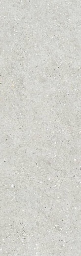 Mitica Perla Rec. 31.5x100 - фото 1