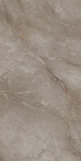 Belvedere Orobico Brown Polished 60x120 - фото 1