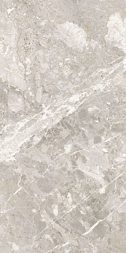 Belcastel Silver Rec 60x120 - фото 1