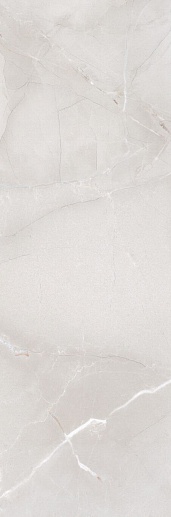 Passion R90 Ice 30x90 - фото 1