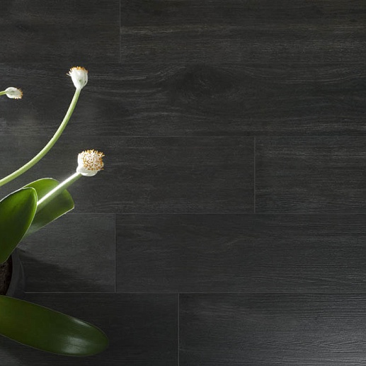 Emigres Hardwood 1