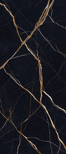 Unique Marble Sahara Noir 60x120 Lappato - фото 1