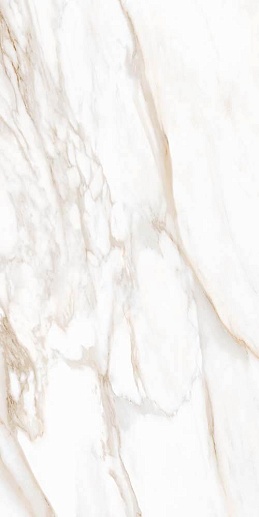 White Marble Calacatta Oro 60x121 Lap Ret - фото 1
