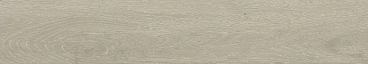 Forest Argent Matt 20x120 - фото 1