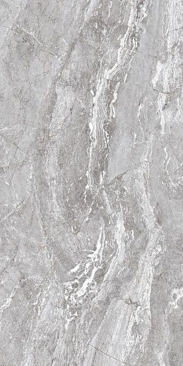 Premi Grey 60x120 - фото 1