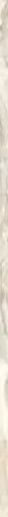 Gemstone Coprispigolo Ivory Lux 1.5x58.5 - фото 1