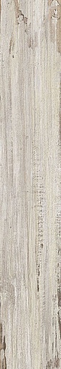 Tribeca Miel 15x90 - фото 1