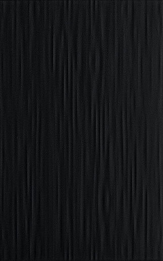 Камелия Чёрный Низ 01 25x40 - фото 1