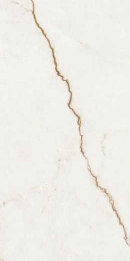 Forte dei Marmi Quark Sahara Blanc 60x120 - фото 1