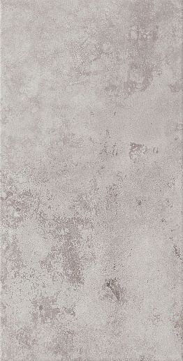 Neutral Graphite 29.8x59.8 - фото 1