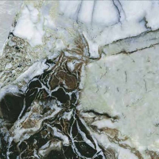 CityMarble Амазония Мультиколор 60x60 - фото 1