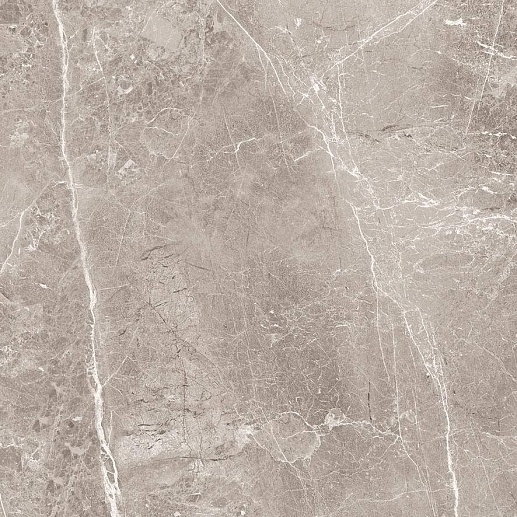 Obsidian Grey Матовый 60x60 - фото 1