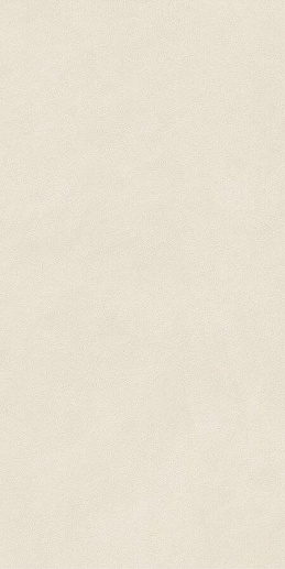 Boost Natural Pro Salt Matte 60x120 - фото 1