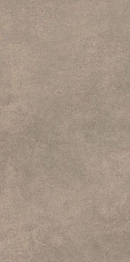 Magnetik Brown 29.8x59.8 - фото 1