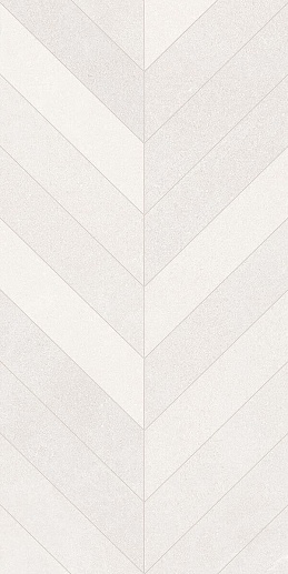 Seine Risle R Blanco 60x120 - фото 1