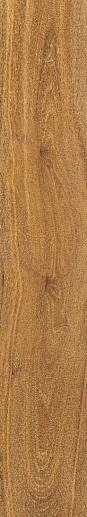 Verbier Honey As C R 19.5x121.5 - фото 1