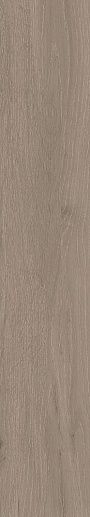 Forest Moka Matt 20x120 - фото 1