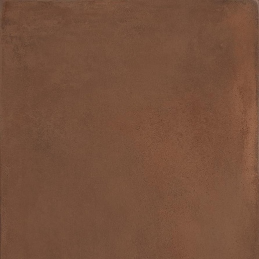 Terra 60R Rm 60x60 - фото 1
